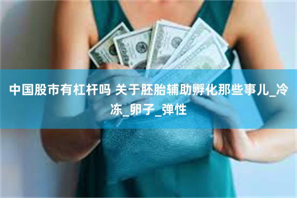 中国股市有杠杆吗 关于胚胎辅助孵化那些事儿_冷冻_卵子_弹性