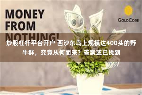炒股杠杆平台开户 西沙东岛上规模达400头的野牛群，究竟从何而来？答案或已找到