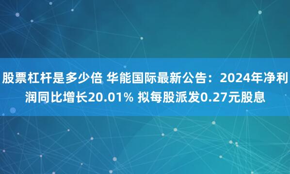 股票杠杆是多少倍 华能国际最新公告：2024年净利润同比增长20.01% 拟每股派发0.27元股息