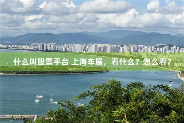 什么叫股票平台 上海车展，看什么？怎么看？