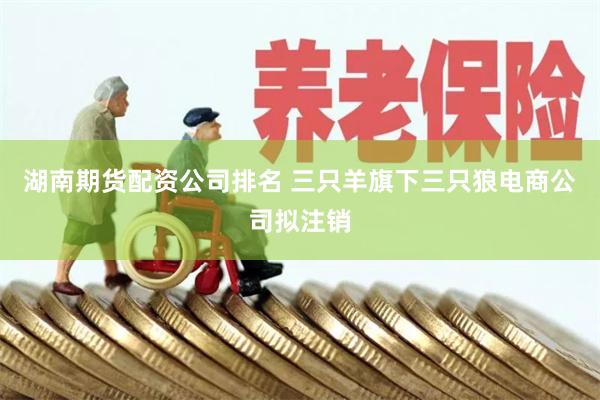 湖南期货配资公司排名 三只羊旗下三只狼电商公司拟注销