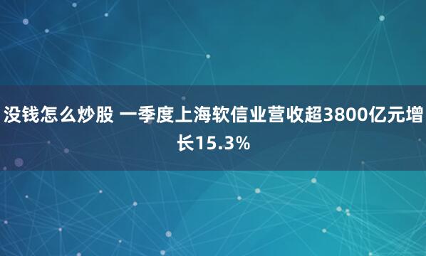 没钱怎么炒股 一季度上海软信业营收超3800亿元增长15.3%