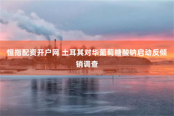 恒指配资开户网 土耳其对华葡萄糖酸钠启动反倾销调查