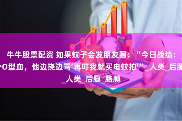牛牛股票配资 如果蚊子会发朋友圈：“今日战绩：叮了个O型血，他边挠边骂‘再叮我就买电蚊拍’”_人类_后腿_胳膊