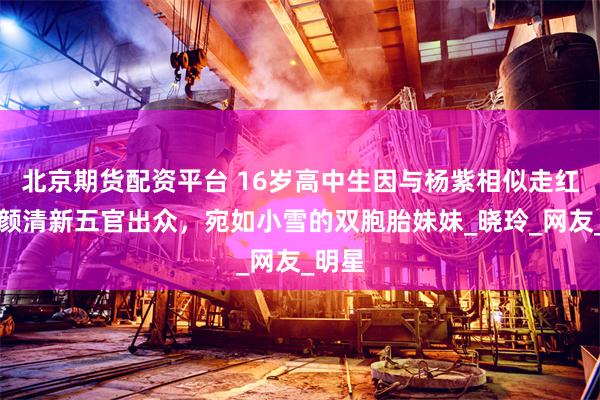 北京期货配资平台 16岁高中生因与杨紫相似走红，素颜清新五官出众，宛如小雪的双胞胎妹妹_晓玲_网友_明星
