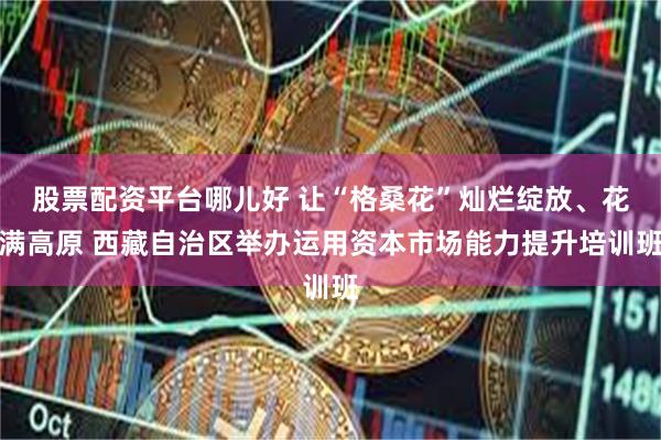股票配资平台哪儿好 让“格桑花”灿烂绽放、花满高原 西藏自治区举办运用资本市场能力提升培训班