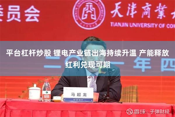 平台杠杆炒股 锂电产业链出海持续升温 产能释放红利兑现可期