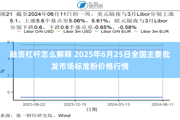 融资杠杆怎么解释 2025年6月25日全国主要批发市场标准粉价格行情