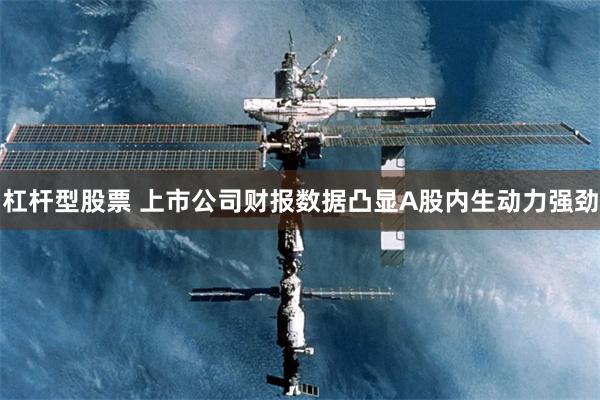 杠杆型股票 上市公司财报数据凸显A股内生动力强劲