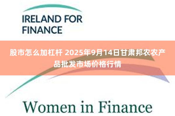 股市怎么加杠杆 2025年9月14日甘肃邦农农产品批发市场价格行情